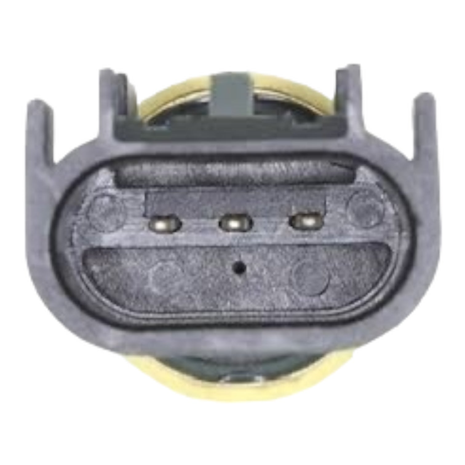 Genuine GM Fuel Pressure Sensor 13516496