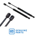 Genuine GM Boot Gas Strut Pair 92213658 – Suits Holden Commodore VE Sedan (With or Without Spoiler) by Fast Industries