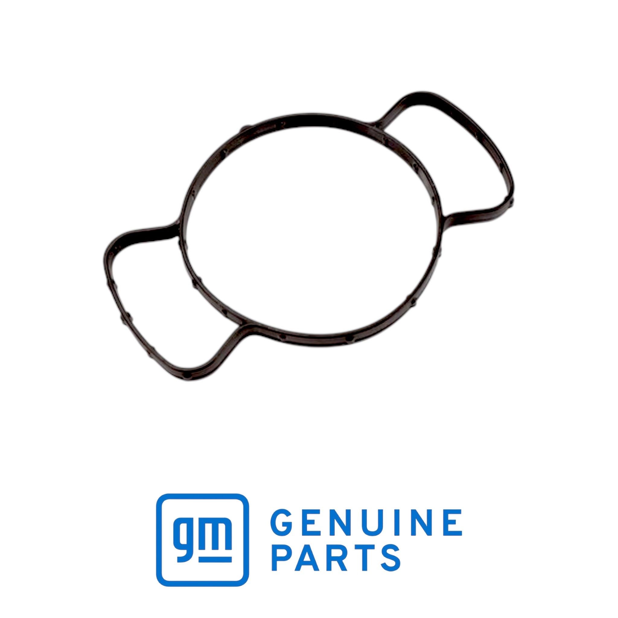Genuine GM Timing Cover Water Jacket / Water Pump Seal 12691259 – Suits Holden Commodore VE/VF 3.6L Alloytec & SIDI V6 by Fast Industries