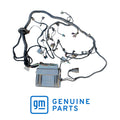 Used Holden VZ Commodore LS1 5.7L automatic engine wiring loom with P59 ECU 92178224