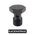 Raceworks Alloy Banjo Bolt M12x1.5 (20mm) RWF-724-06ABK by Fast Industries