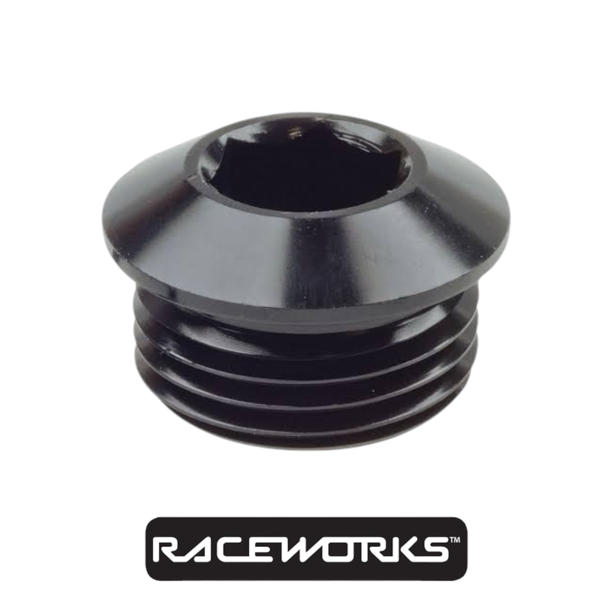 Raceworks AN in Hex O-Ring Plug AN-6 RWF-814-06BK by Fast Industries