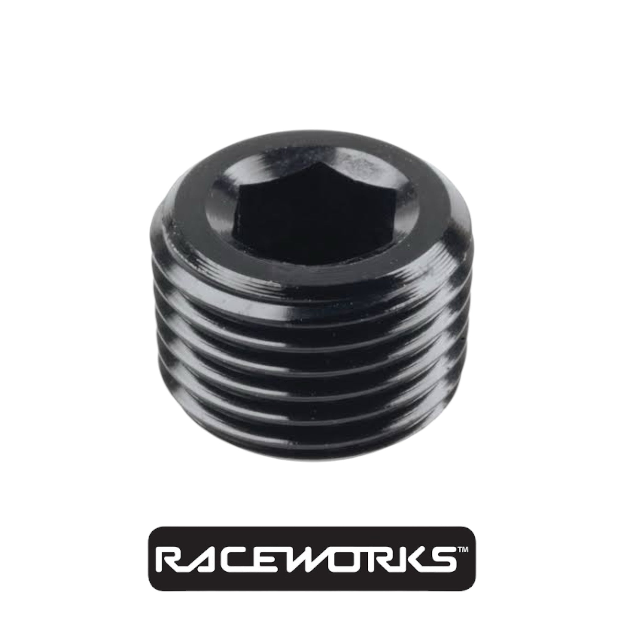 Raceworks NPT Plug 1/4” RWF-932-04BK by Fast Industries