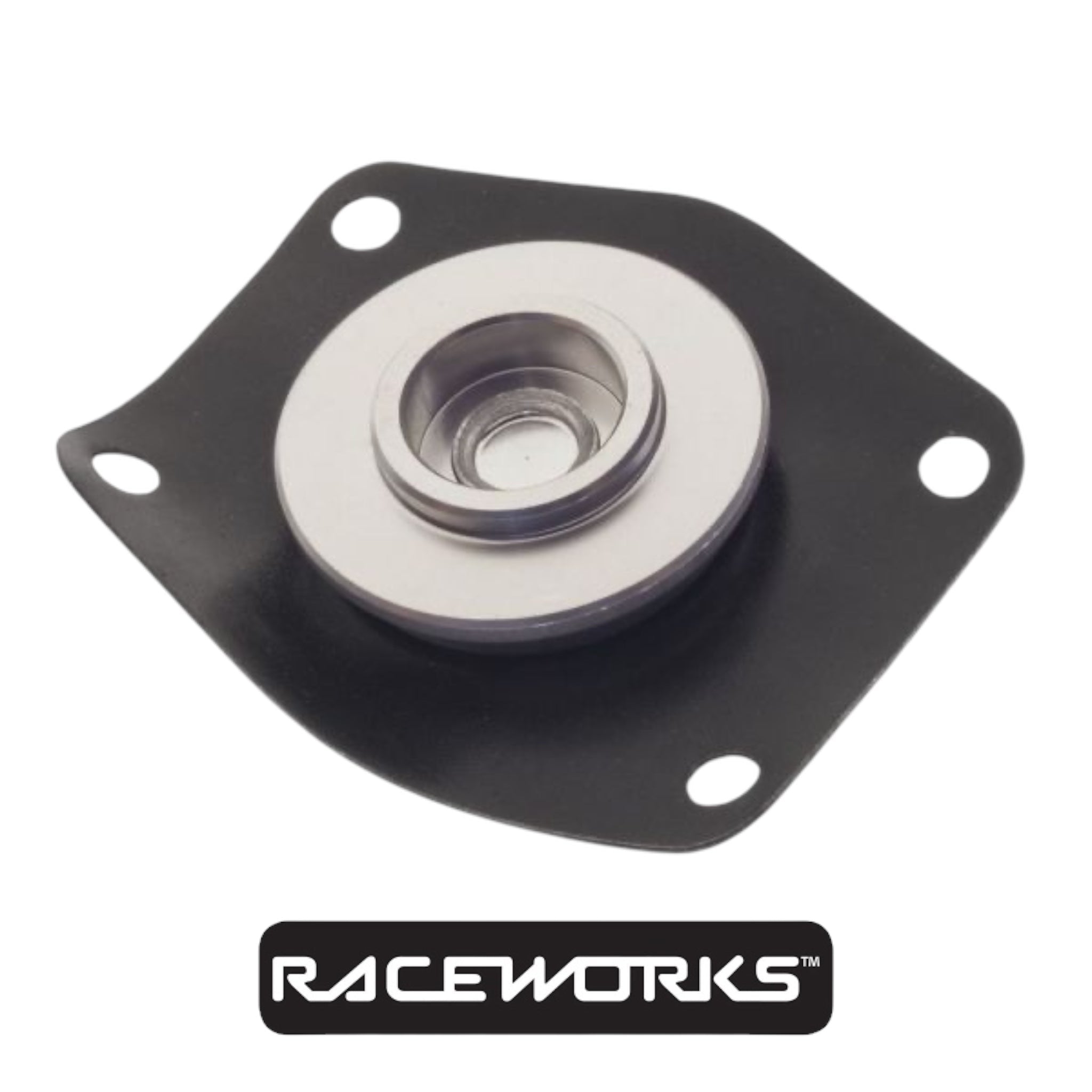 Raceworks Replacement Diaphragm Suits Raceworks Fuel Pressure Reg FSA-096 by Fast Industries